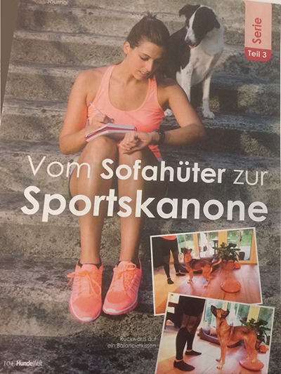 Vom Sofahüter zur Sportskanone: HundeWelt Magazin 05/18, Teil3